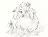 White Bunny
